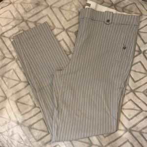 XL Maurices Women’s Dress Pants
